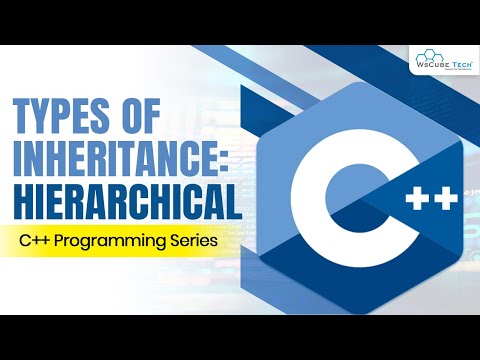 What is Object Oriented Programming OOPS C Tutorials for Beginners