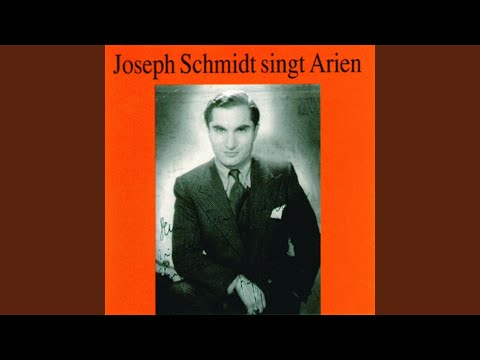 Land so wunderbar - O Paradies (Die Afrikanerin)