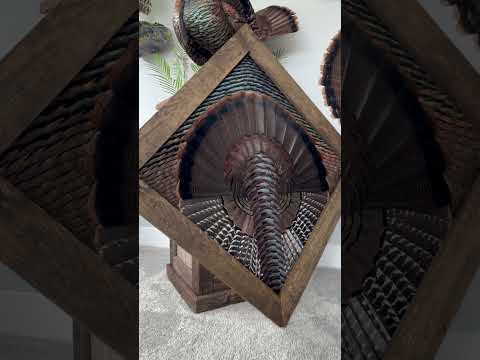 Turkey And Feathers Printable