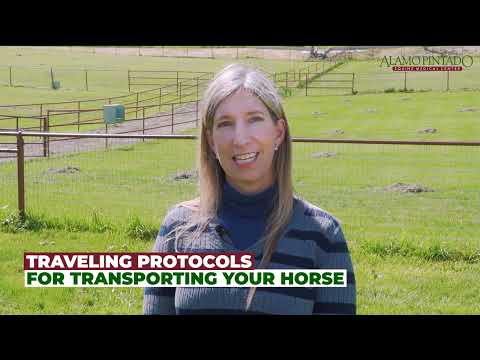 Tips for Legally Transporting Your Horse.