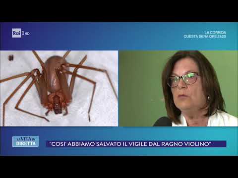 Come smettere di bere adepress Lincentivo a smettere di bere