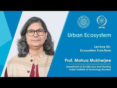 Lecture 3: Ecosystem Functions