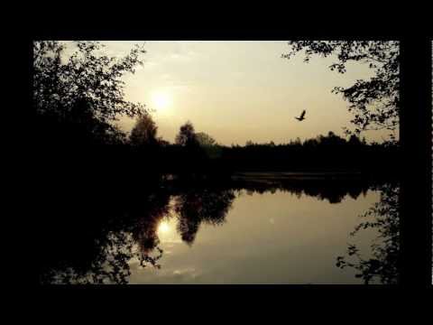 Boy Tedson - Bungalow