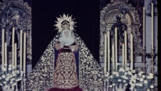 La cera que arde José Llorente