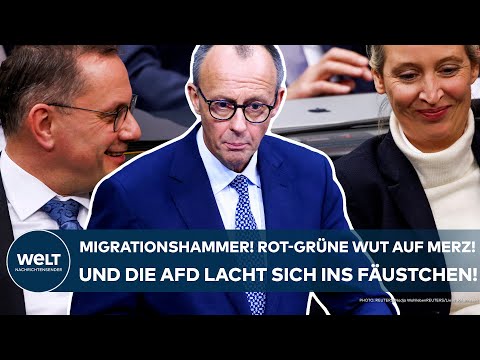 DEUTSCHLAND: Migrationshammer! Rot-grüne Wut auf Merz! Und die AfD lacht sich ins Fäustchen