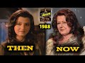Veerana Movie Cast 1988 2023 Jasmine Dhunna Then And Now