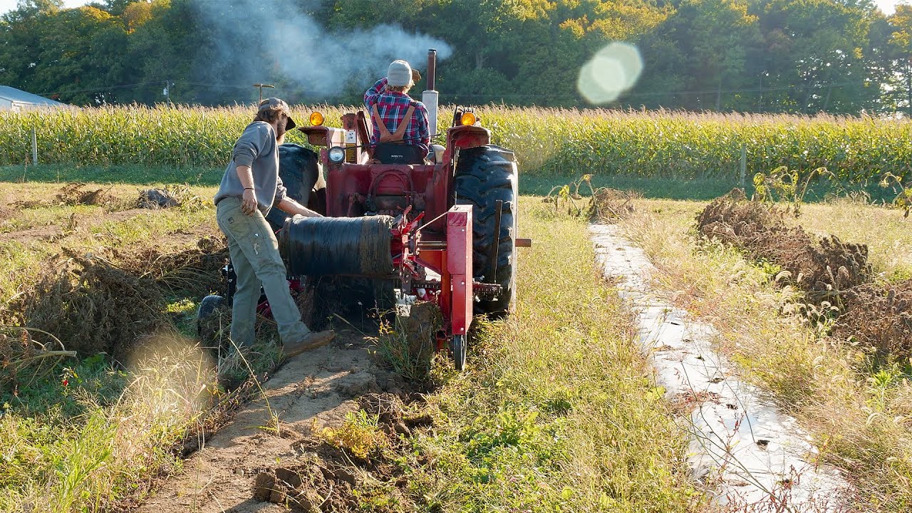 Tips For Success With Plastic Mulch