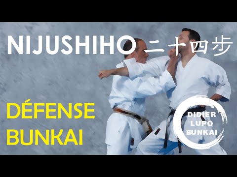 NIJUSHIHO Défense et Bunkaï par Didier Lupo