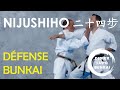 NIJUSHIHO Défense Et Bunkaï Par Didier Lupo