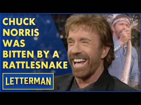 Chuck Norris Was Bitten By A Rattlesnake...Five Days Later The Rattlesnake Died | Letterman