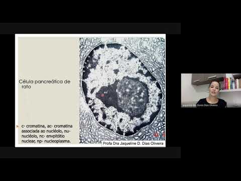 Videoaula Núcleo Interfásico