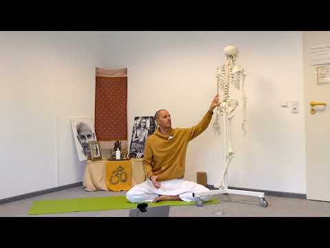 Anatomie Vortrag - Funktionelle Anatomie Inspirationen