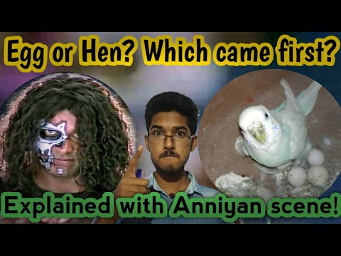 YouTube video