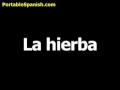 Spanish Word For Grass Is La Hierba