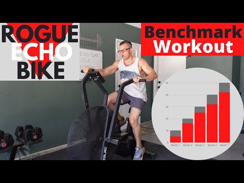 Rogue Echo Bike Workout | Track Your Progress (See RESULTS!)