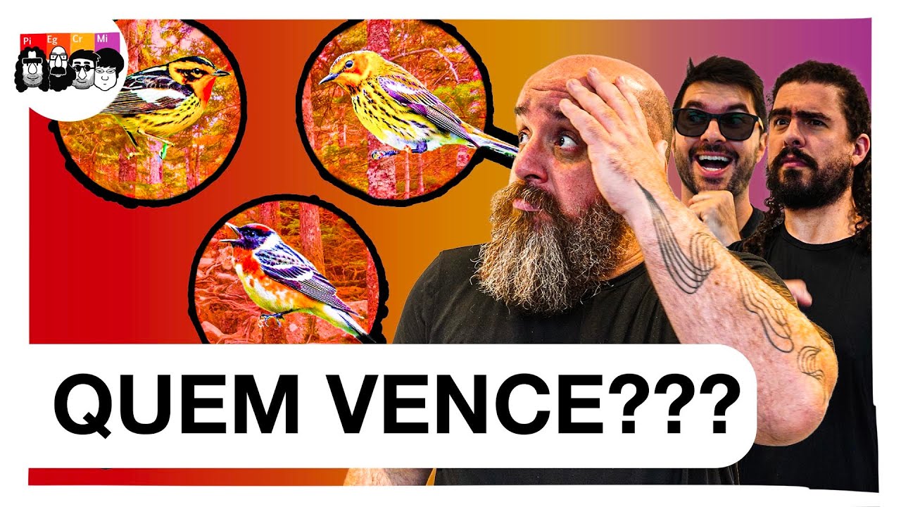 Como a LUTA POR RECURSOS transforma as características dos animais?