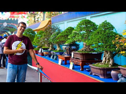 ARE YOU NUTS? Snake swallowing and BONSAI EXPO in Vietnam