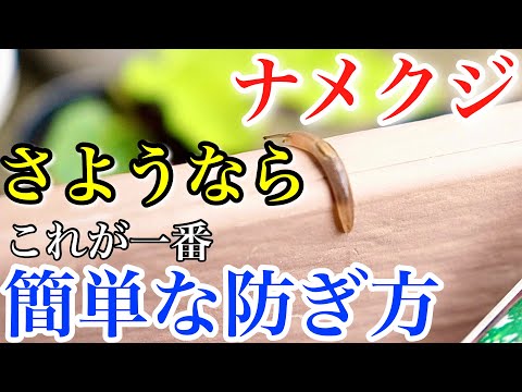 コーヒーかすを使ってネズミを駆除する方法は？永遠に別れを告げて  庭園