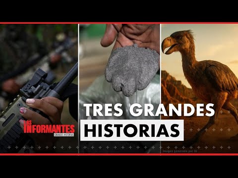 Los Informantes and Noticias Caracol