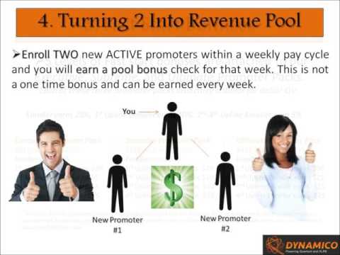 Dynamico Performance Plan