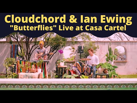 Cloudchord x Ian Ewing - Butterflies (Live at Casa Cartel)