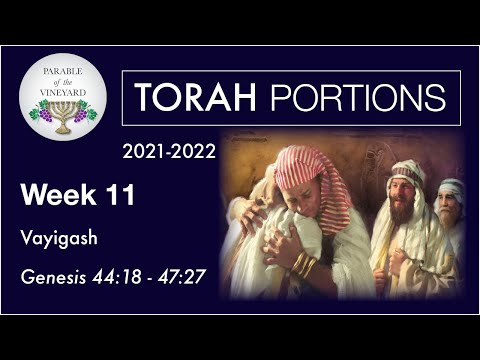 Torah Portions - Week 11 -  Vayigash - Genesis 44:18 - 47:27 (2021-2022)