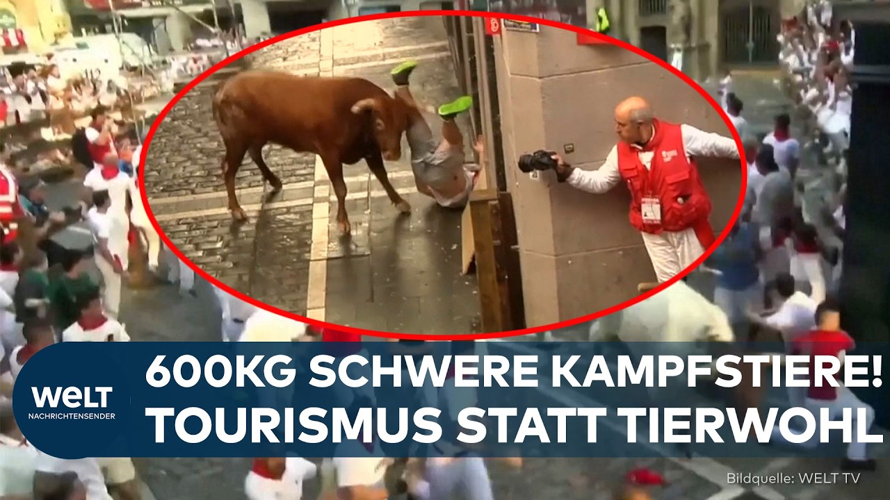 SAN-FERMÍN-FEST IN PAMPLONA: Tödliche Stierhatz in Spanien | 600 Kilogramm schwere Kampfstiere!