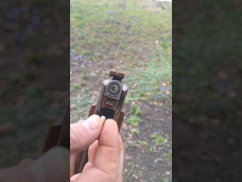 China - Shanghai Air Gun  - Break Barrel - Air rifle - 4.5 mm / .177 cal #airgun #backyard  #old