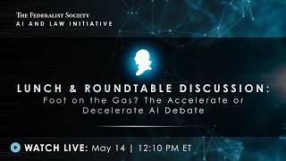Click to play: Lunch & Roundtable: Foot on the Gas? The Accelerate or Decelerate AI Debate