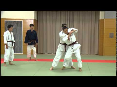 望月稔直伝 実戦合気道② SEIFUKAI REAL AIKIDO 2