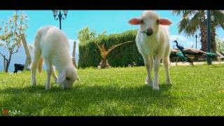 Alis Farm Butik Otel Reklam Filmi