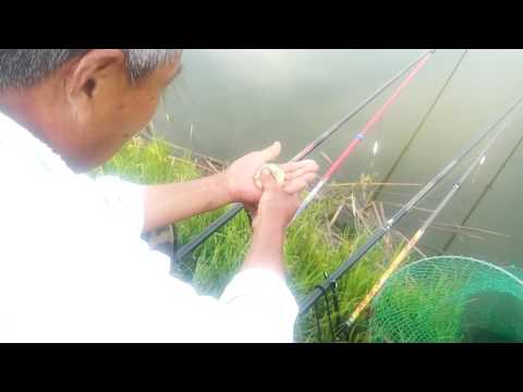 Cu nada chinezeasca la pescuit cu un meserias pescar din China in iunie la #undita