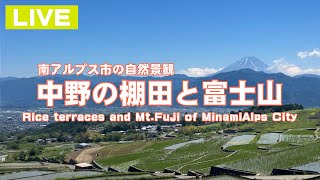 南アルプス市 中野の棚田と富士山