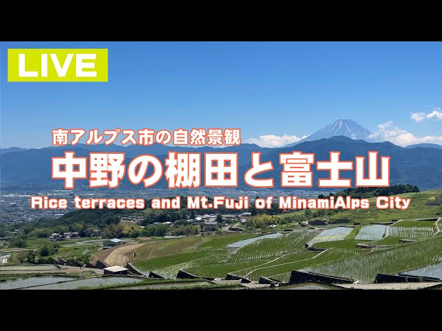 南アルプス市 中野の棚田と富士山