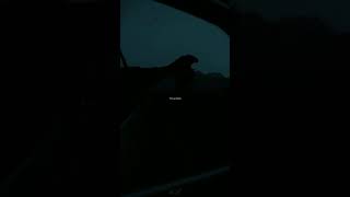 Download lagu Story Wa/ lirik lagu 30 detik mp3 Download lagu Story Wa/ lirik lagu 30 detik mp3