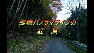 御嶽パノラマラインの紅葉