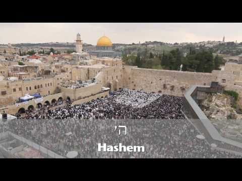 Birkat Kohanim (Priestly Blessing) at the Kotel in Jerusalem 5771 (2011)