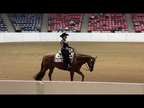 WORLD CHAMPION TATUM RICHEY (11th Congress Horsemanship 2019)