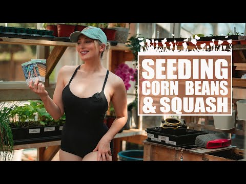 Planting Using the 3 Sisters Method! Corn, Beans and Squash! I Wolf Of The Wild