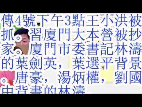 传4号下午3点王小洪被抓。习厦门大本营被抄家。厦门市委书记林涛的叶剑英，叶选平背景。唐豪，汤炳权，刘国中背书的林涛。