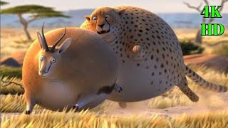 fat animals || if animals were fatty, funny cartoon short film.