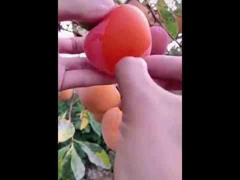 ALLAH KE KUDRAT MASHALLAH ❤️ SWEET FRUITS