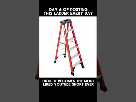 Day 6 of Posting this Ladder Until it Becomes the Most Liked Short Ever #laddergang