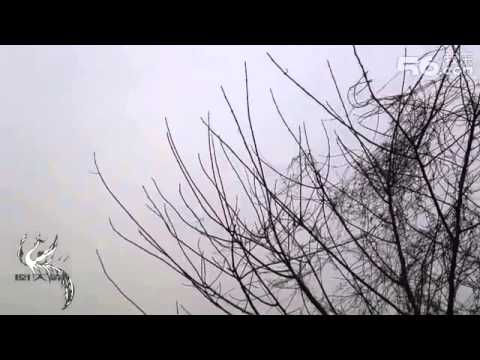 China's J-20_ Amazing Maneuverability Footage