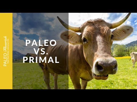 download lagu mp3 mp4 Primal Diet Vs Paleo, download lagu Primal Diet Vs Paleo gratis, unduh video klip Primal Diet Vs Paleo