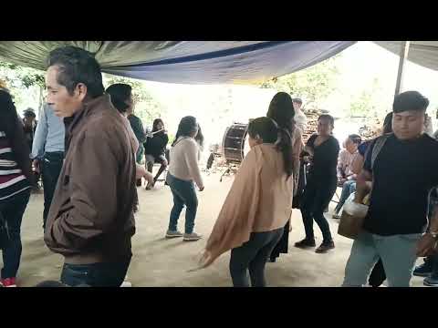 Baile Mixe en Santiago Zacatepec  Oaxaca #traditional #bandamusical #bandacondoy #sonesmixes