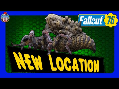 EASY HONEYBEAST spawn location in Fallout 76, 3 spawn every time!