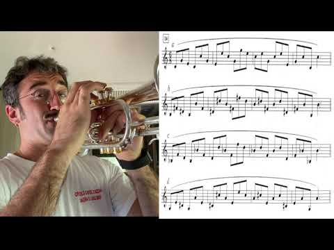 lips flexibility: BAI LIN n.14