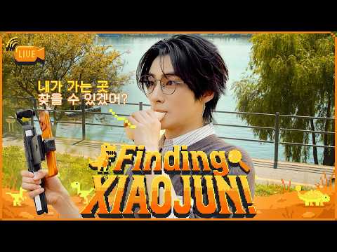 𝗟𝗜𝗩𝗘🔎추억이 담긴 최종 목적지를 찾아주세요!🗺️ | 𓊈Finding XIAOJUN! 샤오쥔을 찾아라!𓊉