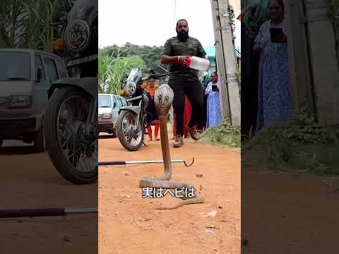 ヘビの隠れる本能